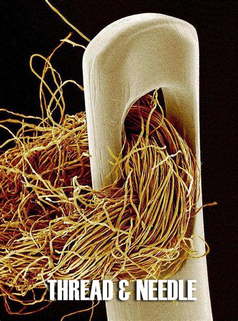 A guitar string examined under a microscope with magnification ...