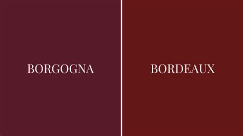 Differenza tra borgogna e bordeaux - Sara Pozzani