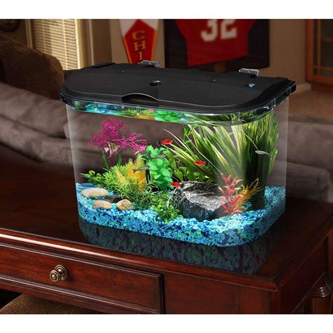 Best 5 Gallon Aquarium Starter Kit at Daniel Gilmore blog