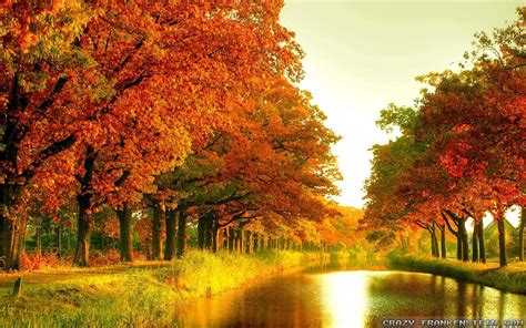 Seasonal Wallpapers - Top Free Seasonal Backgrounds - WallpaperAccess