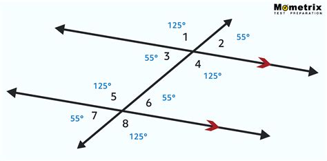 Image result for Types of Transversal Angles