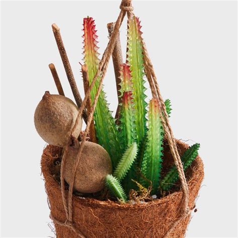 Buy Corsica Eden Artificial Succulent in Rope Net Hanger from Corsica ...
