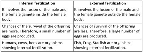 NCERT Solutions for Class 8 Science Chapter 6 - Reproduction in Animals