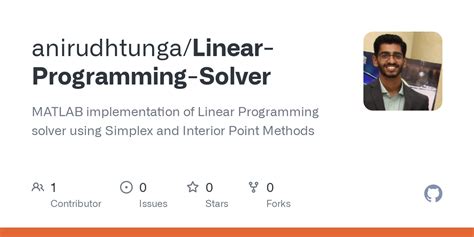 Linear Programming Solver 的图像结果