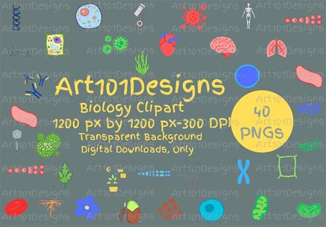 Biology Clip Art 的图像结果