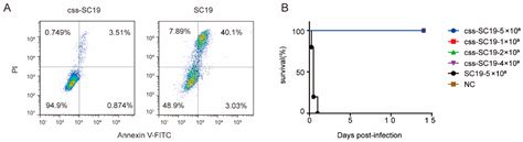 A Streptococcus suis Strain Δcps/ssna-msly (P353L)-SC19 Provides Cross ...
