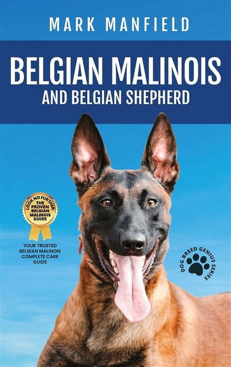 Mark Manfield Belgian Malinois And Belgian Shepherd: Belgian India | Ubuy