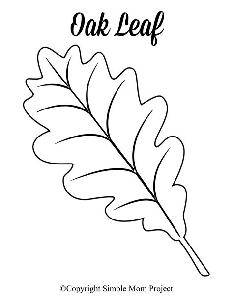 Cut Out Printable Leaf Template - Printable Sight Words List