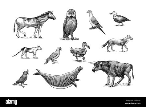 Extinction 的图像结果