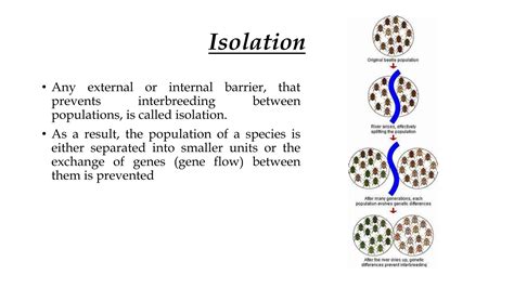 Isolating mechanism.pptx