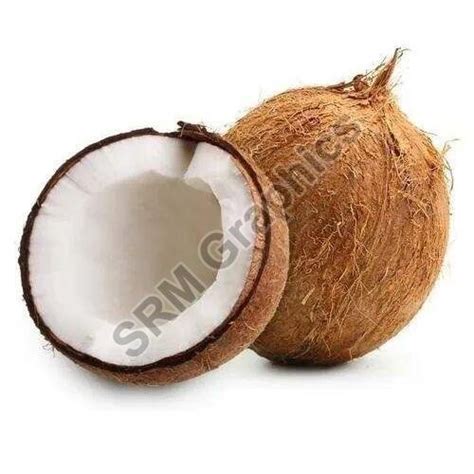 Brown Coconut Supplier, Distributor and Trader in India