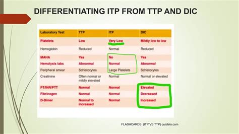 Immune thrombocytopenia as initial presentation of systemic lupus ...