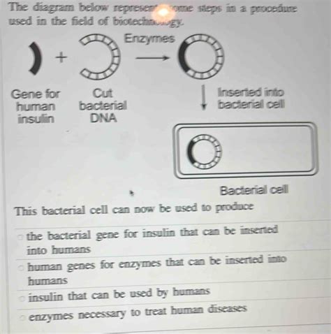 Biotechnology Process Steps Diagram 的图像结果