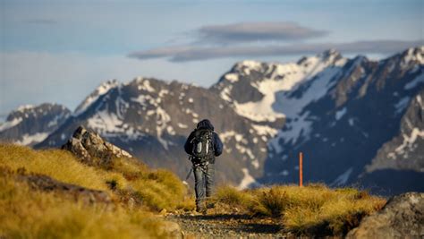 Tracknet Transport - Fiordland’s Track and Transport Specialists ...