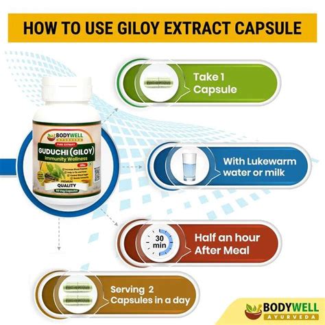 BODYWELL Giloy Pure Extract Capsule | Antioxidant Properties – CBD ...