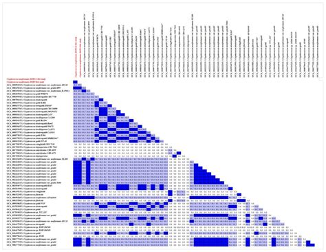Genomic Characterization of Cryptococcus neoformans Isolated from Zebra ...