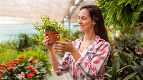 Gardening tips: क्या आप जानते हैं धनिया के बीज के ये इस्तेमाल, कैसे ...
