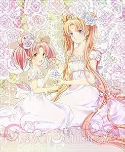 Poster Bubble Anime Beautiful Characters Chibiusa Matte Finish Paper ...