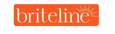 Briteline Aluminum Non-Stick Smokeless Indoor Tandoor Cooktop BBQ, 14 ...