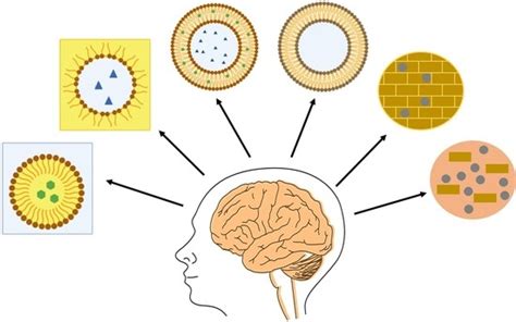 Critical Review of Lipid-Based Nanoparticles as Carriers of ...