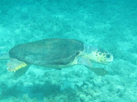 Kalliopi Dive College (Paphos) - 2022 What to Know Before You Go (with ...