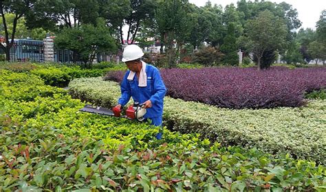 绿化工程绿化工程_江苏苏商建设集团