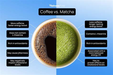 Matcha vs. Coffee| WellnessPulse