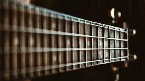 Image result for Stringed Instruments