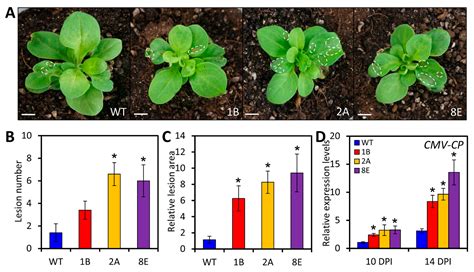 LreEF1A4, a Translation Elongation Factor from Lilium regale, Is ...