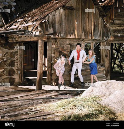 RELEASED: Mar 6, 1964 - Original Film Title: Kissin' Cousins. PICTURED ...