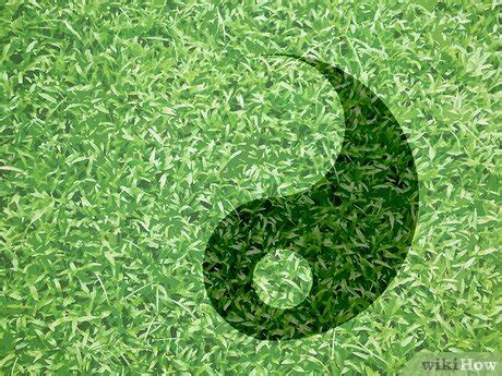 Earth Element 的图像结果