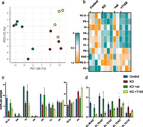 Slc46 Structure 的图像结果