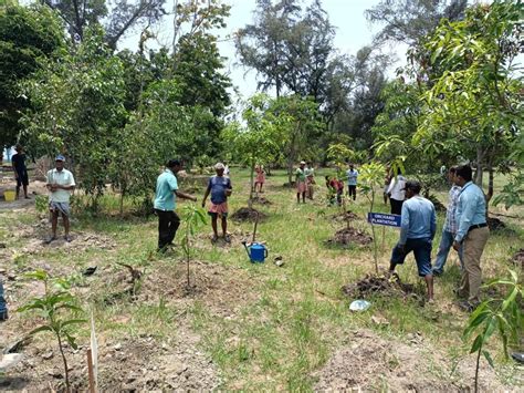 Welcome to the Haldia Development Authority