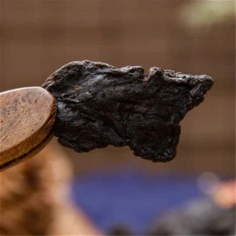 100% இயற்கை ரைசோமா பலகோனாட்டி ஹுவாங் ஜிங் அப்சிபீரிய | Ubuy India