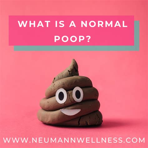 Image result for Normal Poop Images