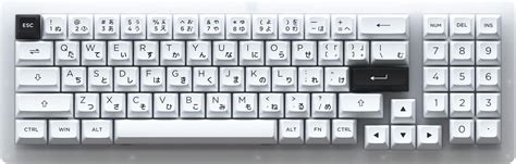 Buy Akko ACR 98 Mini RGB Hot-swappable Wired Mechanical Keyboard ...