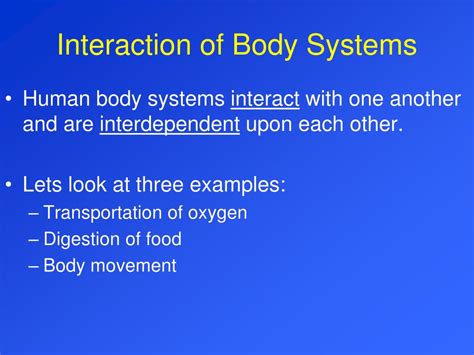 Body System Interaction Chart 的图像结果