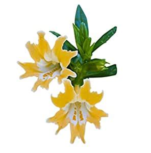 Nema Lily Flower Seeds-Orange-100Pcs : Amazon.in: Garden & Outdoors