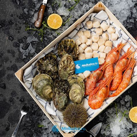 Набор морепродуктов, морепродукты со скидкой