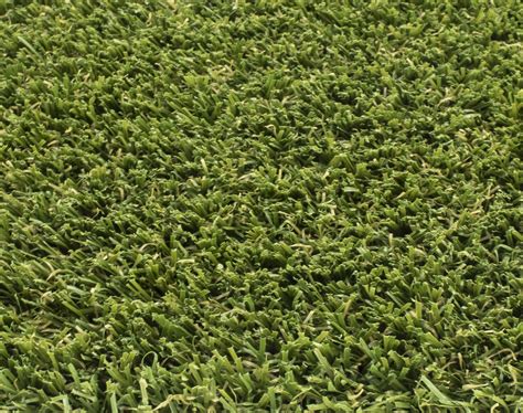 Best Artificial Grass For Dogs: Pet-Friendly Options, Costs & Care | As ...