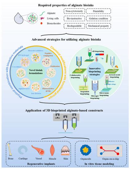 Advanced Strategies for 3D Bioprinting of Tissue and Organ Analogs ...