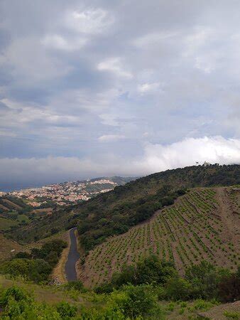 Le Petit Train de Banyuls (Banyuls-sur-mer) - 2022 What to Know Before ...