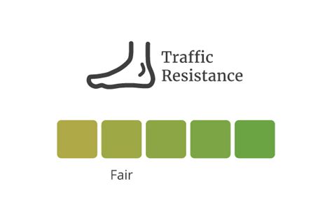 Image result for SVM Classification Real-Time Example