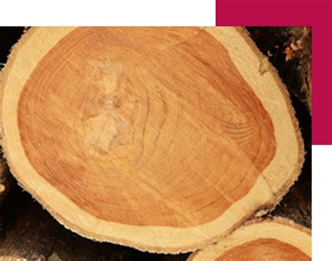 Leading Industrial Group, in various commercial endeavors - UBAG