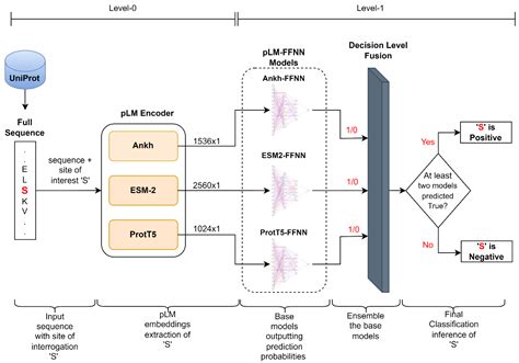Integrating Embeddings from Multiple Protein Language Models to Improve ...