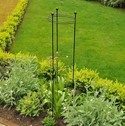 Image result for plant supports 