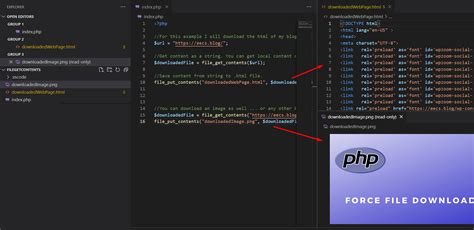 File Download Code PHP 的图像结果
