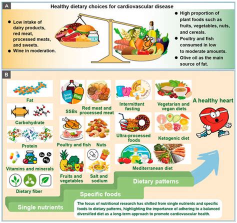 A Review of Healthy Dietary Choices for Cardiovascular Disease: From ...