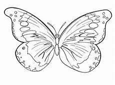 malvorlage schmetterling erwachsene malvorlage schmetterling kostenlos malvorlage schmetterling erwachsene malvorlage schmetterling kostenlos