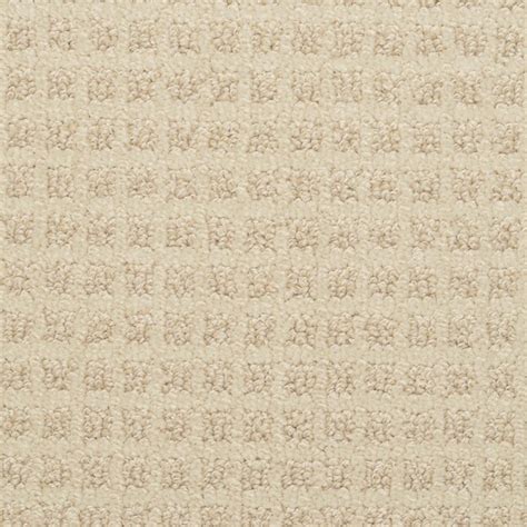 STAINMASTER Medford Gentle Fawn Pattern Indoor Carpet at Lowes.com
